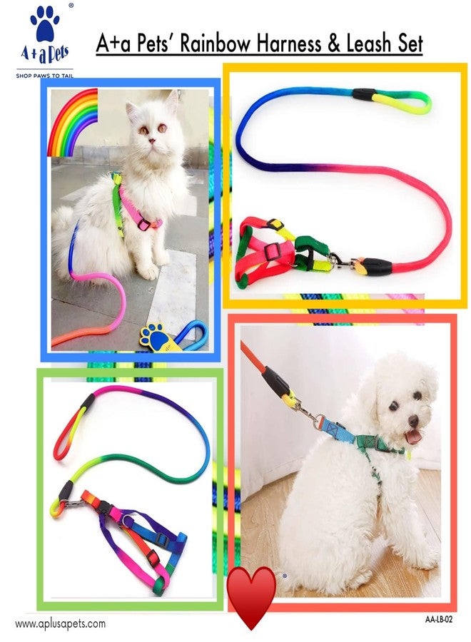 A+a Pets' Harness and Leash Set, Colourful Combo in Rainbow for Cats and Dogs (S, Rainbow) - Image 5